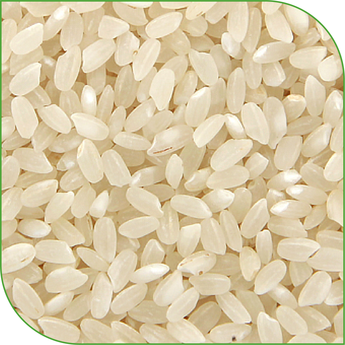 alamal | Rice